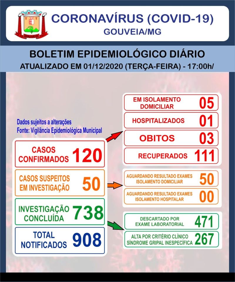 115Boletim Informativo