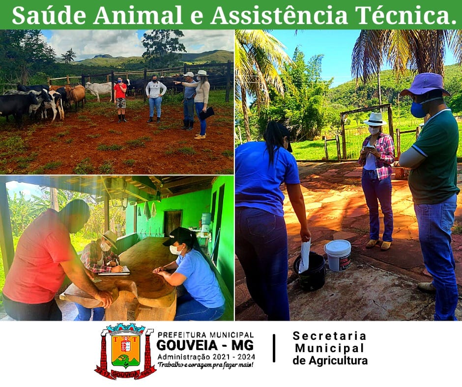 Saúde Animal e Assistência Técnica